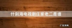 什刹海电视连续剧老二 什刹海电视剧庄家老二是谁