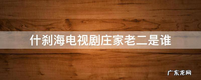 什刹海电视连续剧老二 什刹海电视剧庄家老二是谁