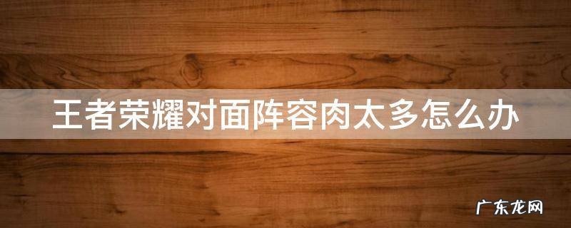 王者荣耀对面阵容太肉用什么打野 王者荣耀对面阵容肉太多怎么办