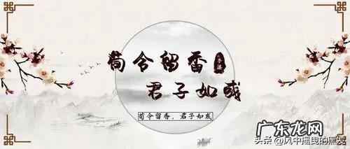 拒组词是 置组词