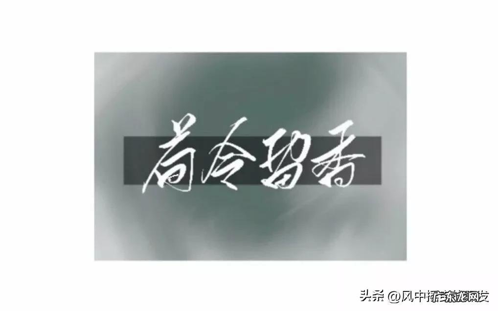 拒组词是 置组词