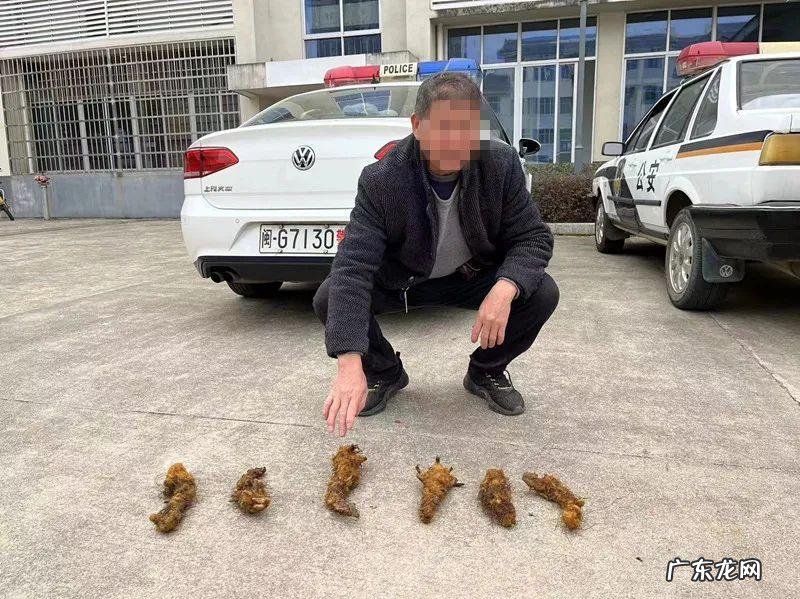 巨型蚌壳能开出什么