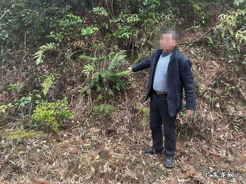 巨型蚌壳能开出什么