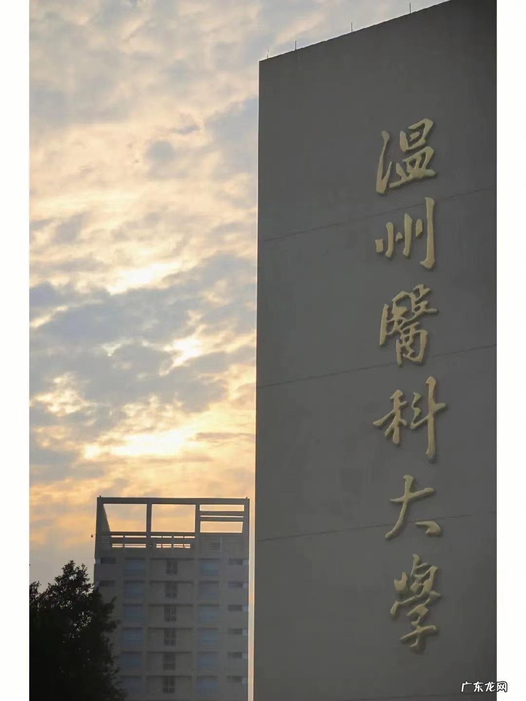 浙江大学2011年高考录取分数线