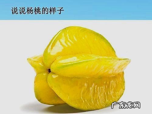 声母表23个声母表 抱歉拼音怎么写