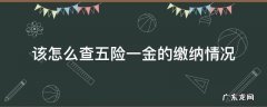 该怎么查五险一金的缴纳情况 如何查询五险一金的缴纳情况