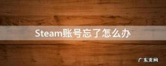 steam游戏账号忘了怎么办 Steam账号忘了怎么办