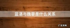 蓝湛魏婴到底是什么关系 蓝湛与魏婴是什么关系