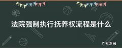 法院强制执行抚养权流程是什么 法院强制执行抚养权流程是什么呢