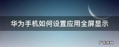 华为手机怎么设置应用全屏显示 华为手机如何设置应用全屏显示
