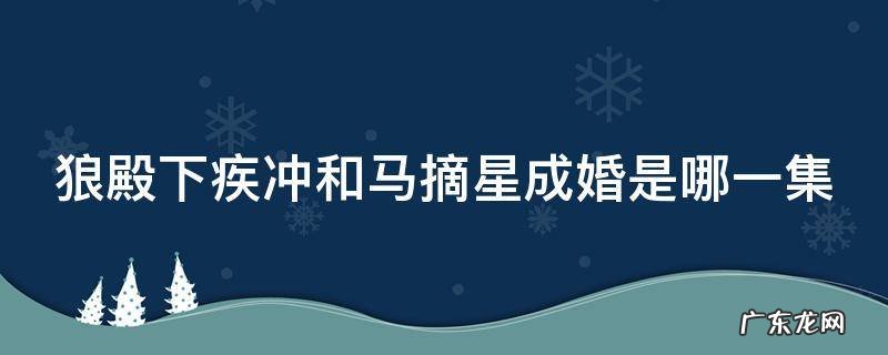 狼殿下疾冲和马摘星成婚是哪一集 狼殿下疾冲马摘星圆房了吗