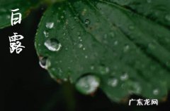 白露要注意点什么