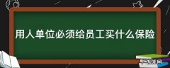 用人单位必须给劳动者缴纳什么保险 用人单位必须给员工买什么保险