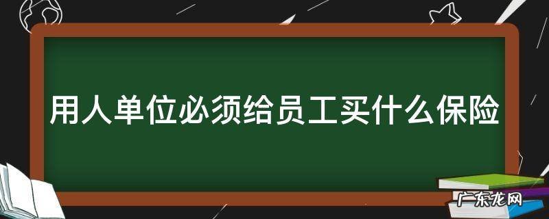 用人单位必须给劳动者缴纳什么保险 用人单位必须给员工买什么保险