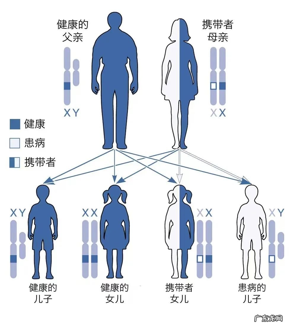 不能生儿子的病