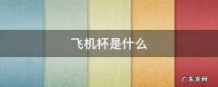 飞机杯是什么玩意 飞机杯是什么