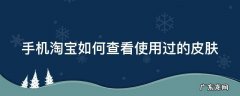 淘宝怎么看皮肤 手机淘宝如何查看使用过的皮肤