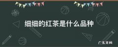 红茶很细小的品种 细细的红茶是什么品种