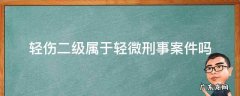 轻伤二级算轻微刑事案件吗 轻伤二级属于轻微刑事案件吗