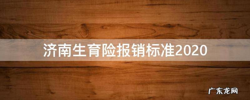 济南生育险报销标准2020 济南生育险报销标准2020新规定是什么