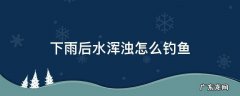 下雨过后水浑浊的时候,怎么钓鱼 下雨后水浑浊怎么钓鱼