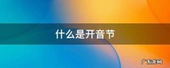 什么是开音节什么是闭音节? 什么是开音节