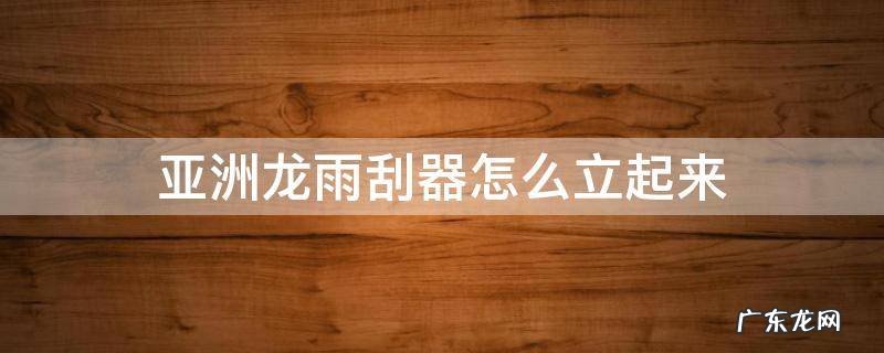 亚洲龙的雨刮怎样能抬起来 亚洲龙雨刮器怎么立起来