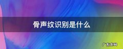 骨声纹识别是什么 骨声纹识别是什么意录入没反应