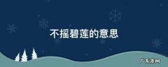 不摇碧莲的意思 不摇碧莲类似的词