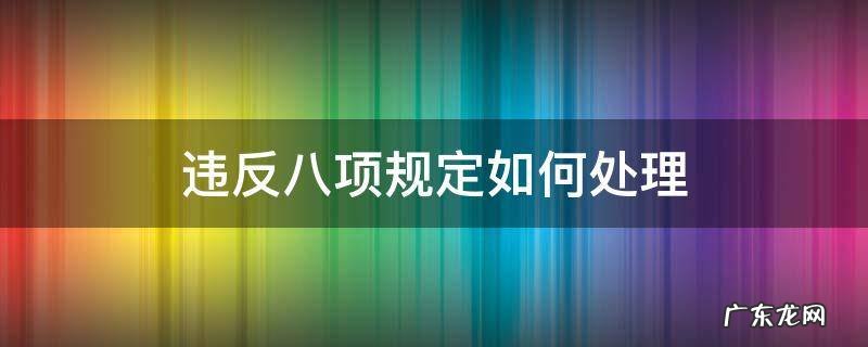 违反八项规定如何处理