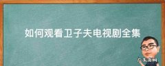 卫子夫电视剧可以在哪里收看 如何观看卫子夫电视剧全集