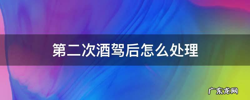第二次酒驾后怎么处理 第二次酒驾后怎么处理2021