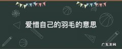 爱惜自己羽毛是指什么 爱惜自己的羽毛的意思
