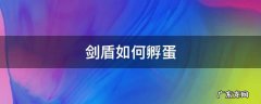 剑盾如何孵蛋更快 剑盾如何孵蛋