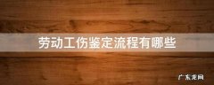 劳动工伤鉴定流程有哪些 工伤鉴定需要哪些流程