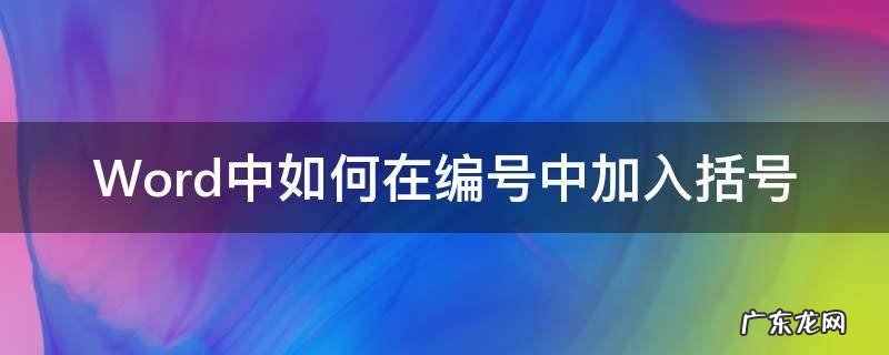 Word中如何在编号中加入括号 word编号怎么加括号