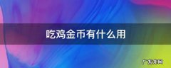吃鸡金币有什么用? 吃鸡金币有什么用
