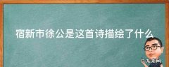 宿新市徐公店这首诗描绘了什么表达了作者什么之情 宿新市徐公是这首诗描绘了什么
