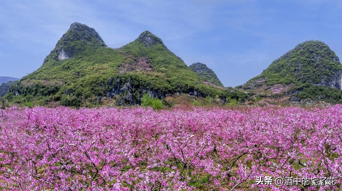 时来运转风水球放哪里
