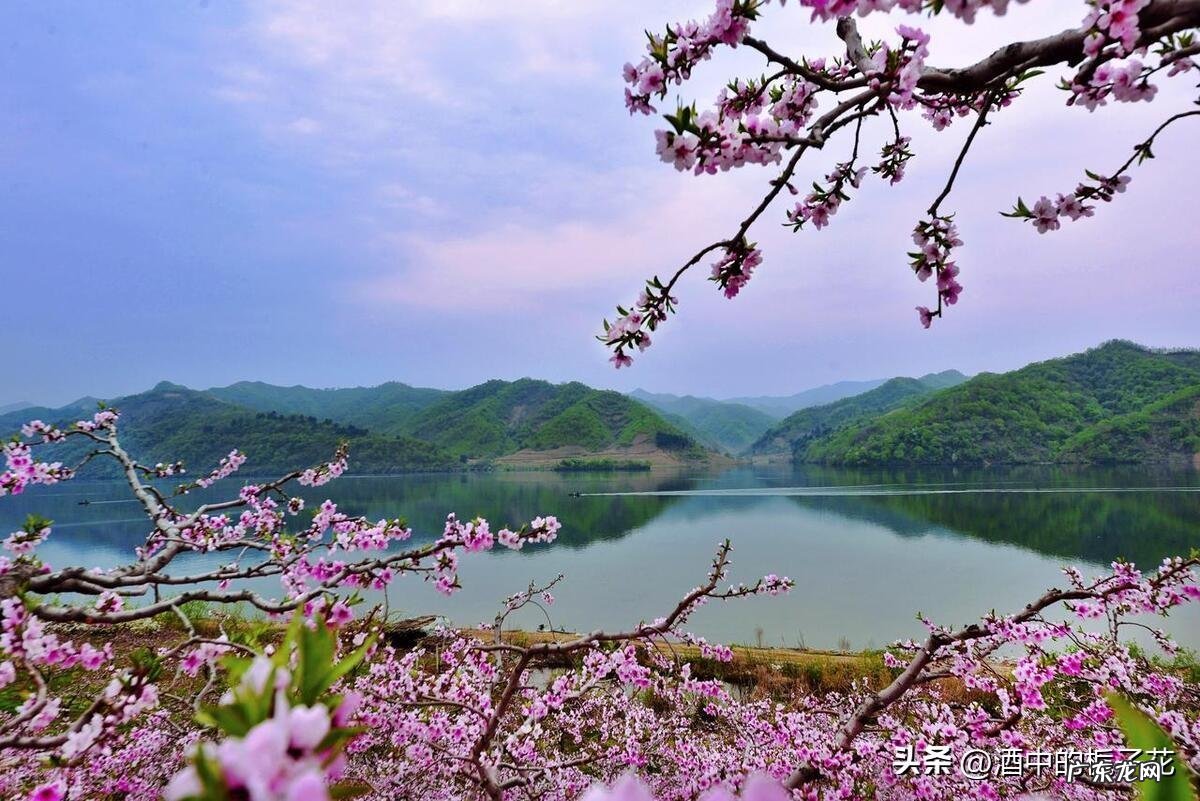 时来运转风水球放哪里