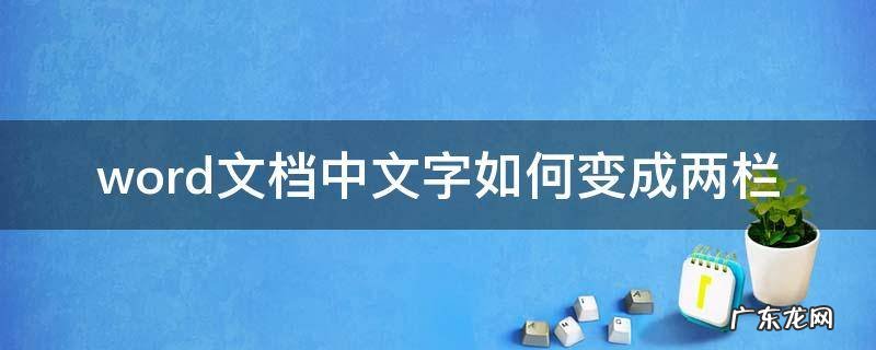 怎么把word文档变成两栏 word文档中文字如何变成两栏