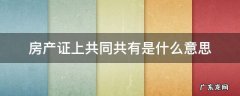 房产证上共同共有是啥意思 房产证上共同共有是什么意思