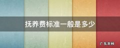 抚养费标准一般是多少 抚养费标准一般是多少钱一个月