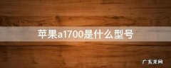 苹果a1700是什么型号多大的屏 苹果a1700是什么型号