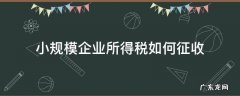 小规模企业所得税怎么征收 小规模企业所得税如何征收