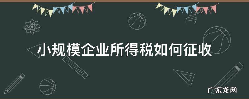 小规模企业所得税怎么征收 小规模企业所得税如何征收