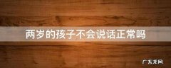 两岁的孩子不会说话正常吗 两岁的小孩不会说话正常吗