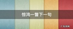 惊鸿一瞥下一句 惊鸿一瞥下一句接什么