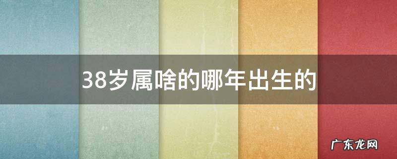 38岁属什么的哪年出生的 38岁属啥的哪年出生的