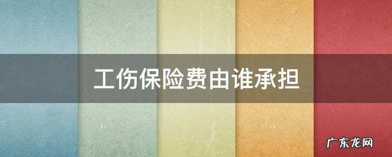 社保里面的工伤保险费用是由谁承担 工伤保险费由谁承担